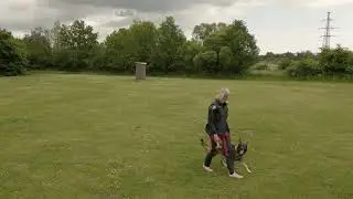 DJI Mini 3 Pro at the dog training.