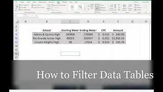 How to Filter Data Tables Based on Column Values - Data Filter Basics - Text/Numeric Data Excel