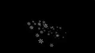 Snow petals.