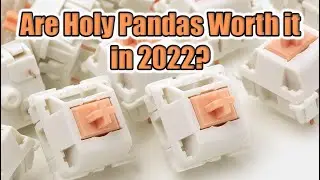 Are HOLY PANDA switches WORTH IT in 2022?