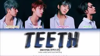 ENHYPEN (Jungwon, Heeseung, Sunoo, Ni-Ki) - TEETH Color Coded Lyrics