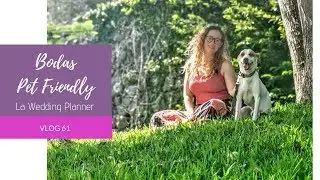 61. BODAS PET FRIENDLY - LA WEDDING PLANNER