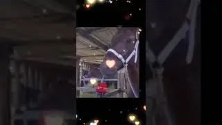 Доброе утро моя девочка ❤️❤️😍😍