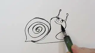 Sketching a Snail. Jasmina Hato