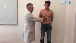 Осмотр области сердца