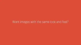 Refine | Shutterstock Showcase