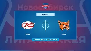 Колос - Лисы
