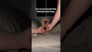 Comment “CALM” if your need one of this.