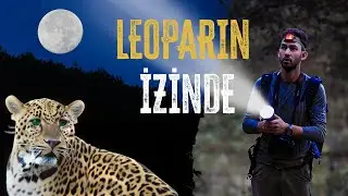 IN THE FOOTSTEPS OF THE LEOPARD! JOURNEY TO THE FOREST WHERE WE CAPTURED THE NIGHT PANTHER!