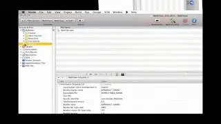 iPhone Programming - Uploading an app in Xcode 3