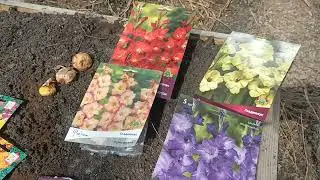 УРА🔥🔥🔥🌺🌞 Гладиолусы) Формирую цветочные грядки🌺🌺🌺