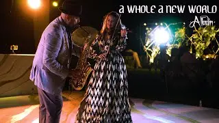 🎷🎻 A Whole a New World (Aladdin) - Sax & Violin (Aladdin)