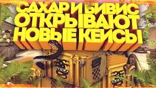 SAKhar and Beavis Open New Hydra Cases