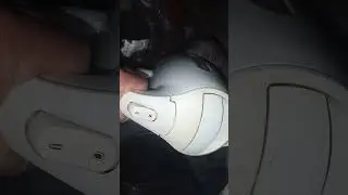 VID 20241122 040004 #витямитя