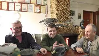 Как делают чучела уток для охоты