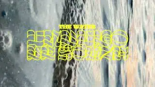 Indigo De Souza - The Water [Official Audio]