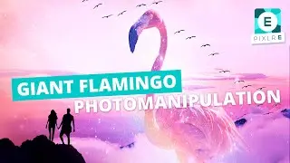 Create A Surreal Giant Flamingo Photo Manipulation in Pixlr E