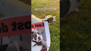 A sad story ,but with a happy ending 