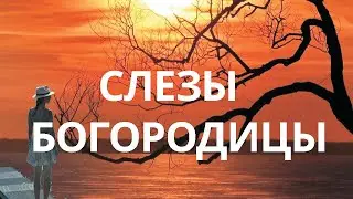 Слезы Богородицы. Всем Божьих благословений  ♥️