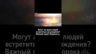 Могут ли души людей встретиться до рождения?   Важный хадис Пророка  Саллалаху Алейхи Васаллам