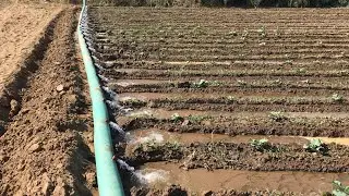 Çiftçiyi Yormayan Arık Sulama Sistemi