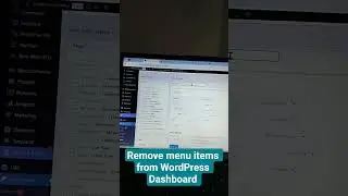 Remove menu items from WordPress Dashboard