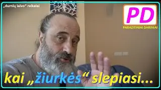 Kai „kalės“ bijo...  (PARAZITINIAI DARINIAI)