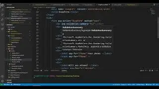 Asp Net Core 6   Validation, Custom CSS Styling