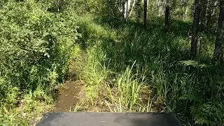 Болотце. Колея после вездехода.