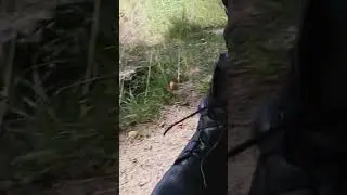 Как выбрать берцы?