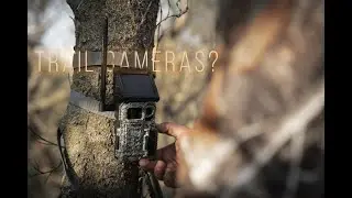How to Deploy a Late Season Trail Camera Plan | Building Whitetails | SPYPOINT