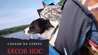 Собаки на севере. Часть 1. Бесов нос