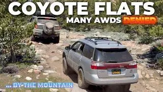 AWD DENIED ON STEEP TRAIL (No NPS needed)