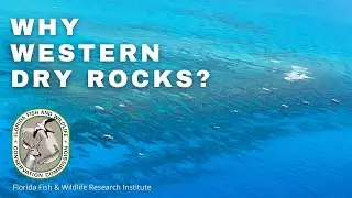 Why Western Dry Rocks?