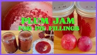 Awesome Jam From Fresh Plums  Plum pie filling  Easy Plum Jam recipe