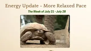 Energy Update   Slower Pace This Week!