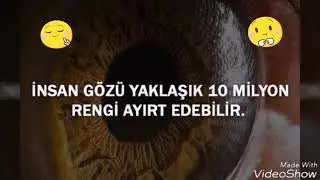 İlginç bilgiler