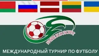 Девятка-2 – Шинник-09 / поле 1