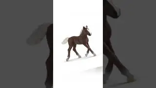 Schleich жеребята