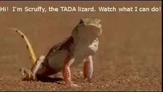 The TADA Lizard