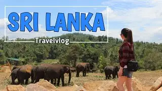 Sri lanka Travelvlog Part2 || Things to do in Sri Lanka