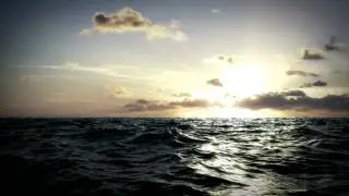 reel v3