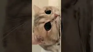 Subhan Allah