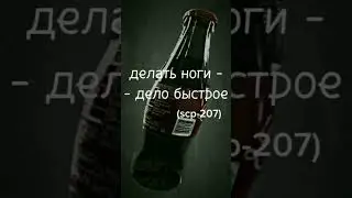 цитаты великих 