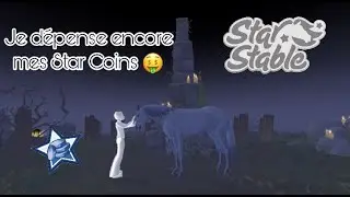 On Achète Des Nouveaux Vêtements & Un Nouveau Cheval