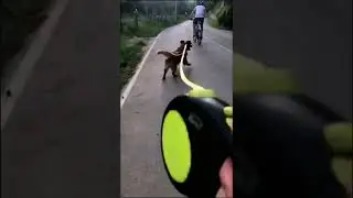 Штритрейссс (скейт с Кету) 