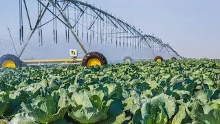 Итоги недели 29 января - 4 февраля 2024 г.