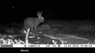 HD PIR Hunting Trail Camera 16MP 940nm 1080P 0.3S Trigger