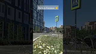 #Казань сегодня, Московский район 🩵 #Кирмос #2024 , 12 июля 2024