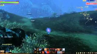 ArcheAge 30 lvl vs 50 lvl